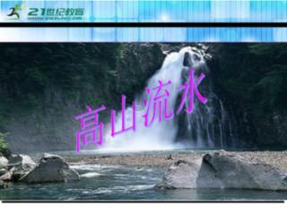 “萝卜”招标、围标串标，严查！